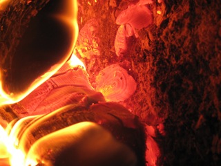 Besides the pleasant warmth of a wood stove, there is the beauty of the fire inside the stove also.